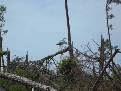 This guy kept an eye on me the whole time...